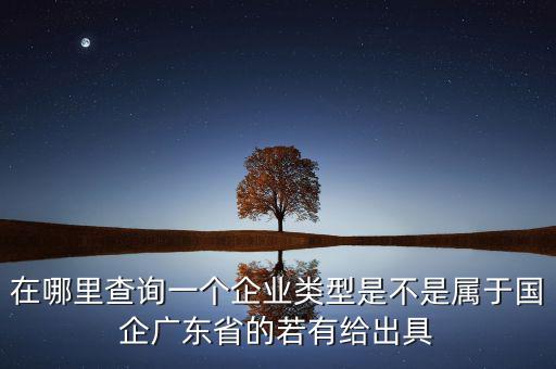 單位類型如何查詢，如何查詢企業(yè)管理類別
