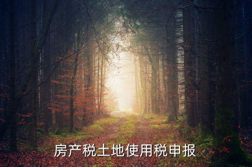 金稅三期如何申報(bào)土地使用稅，房產(chǎn)稅土地使用稅申報(bào)