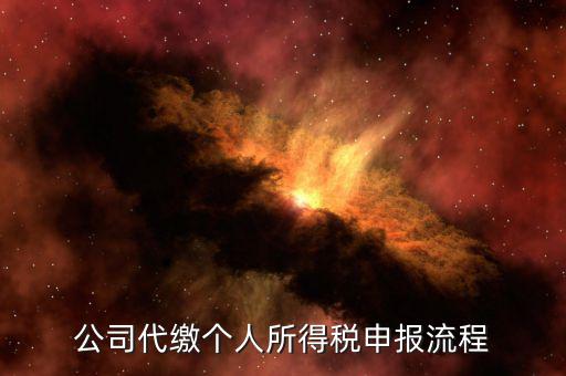 公司代繳個人所得稅申報(bào)流程