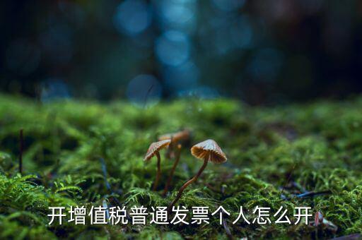 普票如何開給個人，增值稅普通發(fā)票開個人需要什么資料