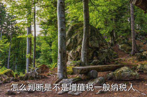 如何查詢?cè)鲋刀愐话慵{稅人，查看是否為增值稅一般納稅人