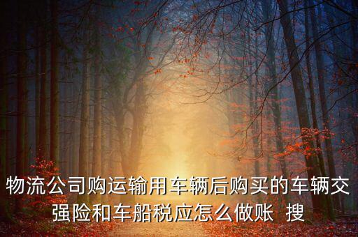 物流公司購運輸用車輛后購買的車輛交強險和車船稅應怎么做賬  搜