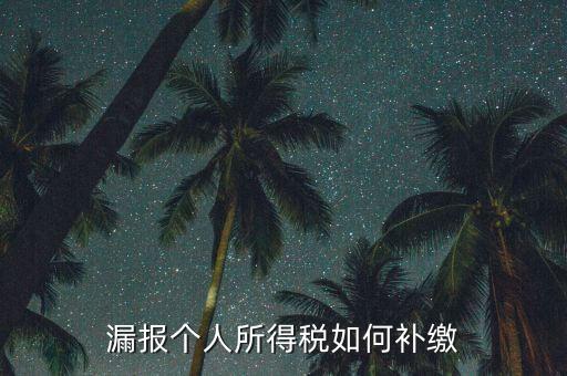 安徽省個(gè)稅如何補(bǔ)充申報(bào)，漏報(bào)個(gè)人所得稅如何補(bǔ)繳