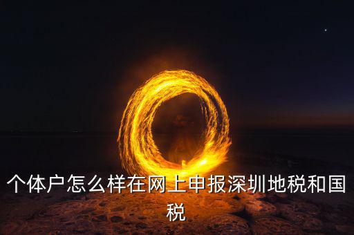深圳市個稅如何申報(bào)系統(tǒng)，個體戶怎么樣在網(wǎng)上申報(bào)深圳地稅和國稅