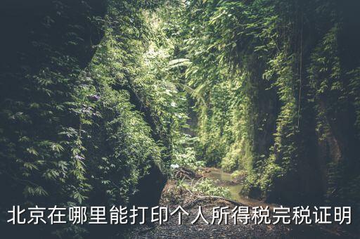 北京如何打個(gè)稅證明，北京買房 如何開個(gè)稅證明