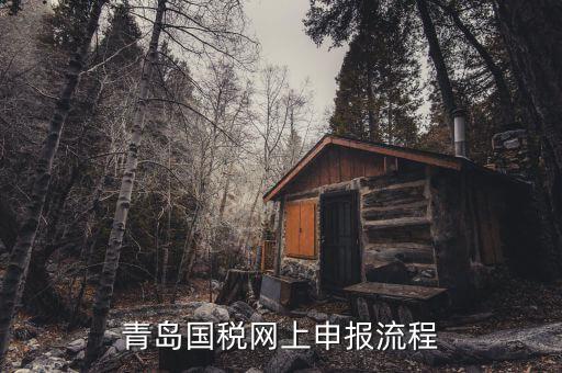 青島國地稅如何申報，國稅怎么申報