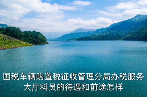 辦稅員工資如何，國稅車輛購置稅征收管理分局辦稅服務(wù)大廳科員的待遇和前途怎樣