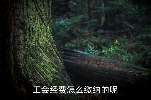 工會經費怎么繳納的呢