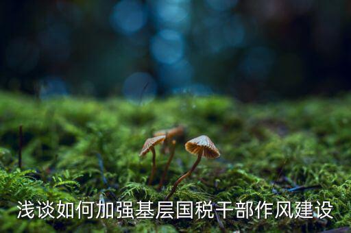 如何加強稅務局隊伍建設，如何激發(fā)國稅基層干部隊伍的活力