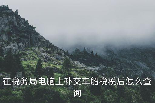 如何在電子稅務(wù)局上查詢稅種，在稅務(wù)局電腦上補(bǔ)交車船稅稅后怎么查詢