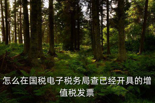 怎么在國(guó)稅電子稅務(wù)局查已經(jīng)開(kāi)具的增值稅發(fā)票
