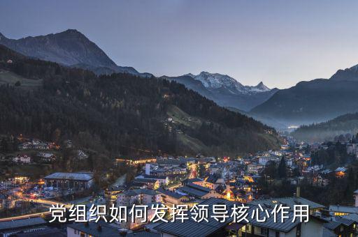 如何發(fā)揮稅務(wù)聯(lián)合黨組核心領(lǐng)導(dǎo)作用，黨組織如何發(fā)揮領(lǐng)導(dǎo)核心作用
