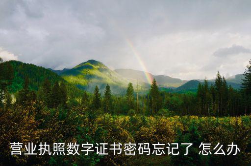 如何找回?cái)?shù)字證書(shū)密碼，營(yíng)業(yè)執(zhí)照數(shù)字證書(shū)密碼忘記了 怎么辦