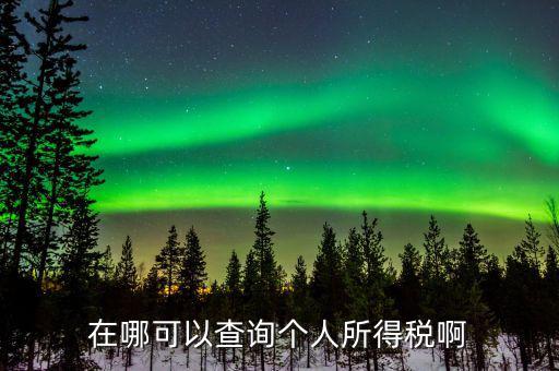 如何查詢個人所得稅記錄，在哪可以查詢個人所得稅啊