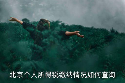 北京地稅個(gè)人如何查詢，如何查詢個(gè)人所得稅繳稅記錄