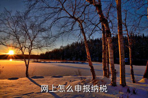 在地稅務(wù)局網(wǎng)上如何報稅，稅務(wù)申報如何網(wǎng)上申報