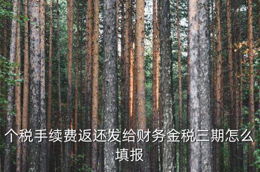 金稅三期獲如何連接稅務(wù)局，金稅三期個(gè)人所得稅扣繳系統(tǒng)怎樣連接地稅