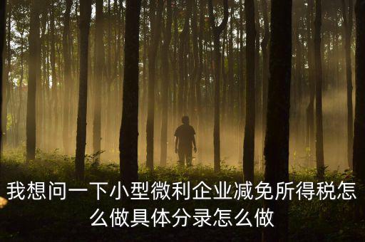 小微企業(yè)所得稅如何減免，我想問(wèn)一下小型微利企業(yè)減免所得稅怎么做具體分錄怎么做