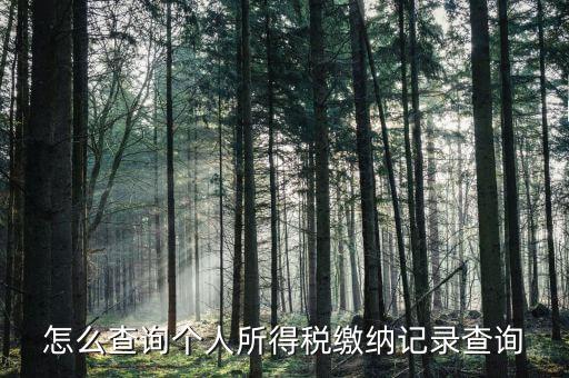 沈陽如何查個人所得稅繳費(fèi)明細(xì)，如何查詢個人所得稅申報(bào)明細(xì)情況