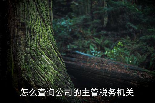 怎么查詢公司的主管稅務機關