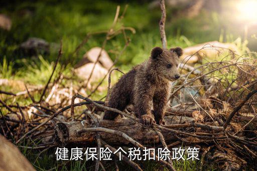 個(gè)人健康保費(fèi)如何在個(gè)稅前扣除，健康保險(xiǎn)怎么抵扣個(gè)稅
