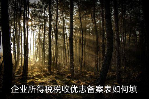 如何填寫企業(yè)所得稅優(yōu)惠事項備案表，企業(yè)所得稅減免稅備案表填寫