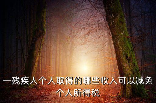 殘疾人減免個(gè)稅如何做賬，有殘疾人免稅證明在個(gè)人所得稅申報(bào)系統(tǒng)中如何填寫急
