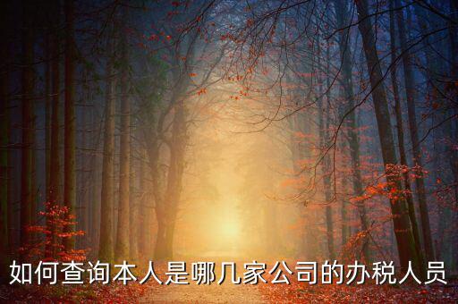 如何查詢企業(yè)辦稅人信息，怎么查詢單位登記稅務經(jīng)辦人