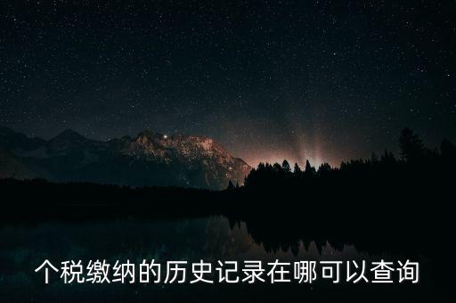 如何查詢個人所得稅繳費記錄，怎么查詢最新個人所得稅繳納記錄