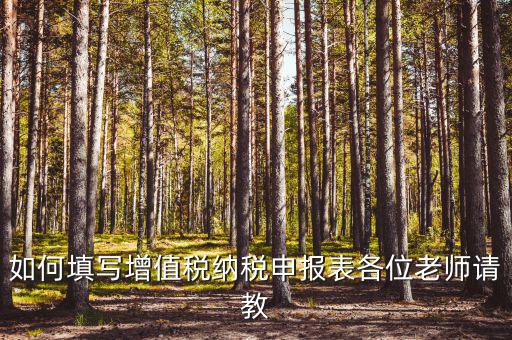 增值稅納稅申報(bào)表如何填報(bào)，增值稅申報(bào)表如何填寫