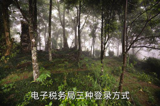 遼寧省網(wǎng)上稅務(wù)局如何登錄，可以用手機(jī)登陸遼寧省電子稅務(wù)局嗎