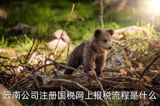 如何進(jìn)入云南網(wǎng)上稅務(wù)申報(bào)系統(tǒng)，如何進(jìn)行網(wǎng)上稅務(wù)申報(bào)