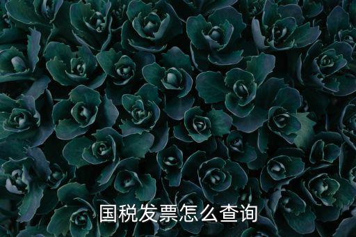 深圳市國稅局郵寄發(fā)票如何查詢，國稅發(fā)票怎么查詢