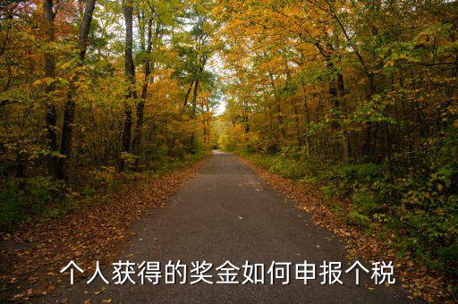 如何將獎(jiǎng)金的稅款繳納至稅務(wù)局，個(gè)人獲得的獎(jiǎng)金如何申報(bào)個(gè)稅