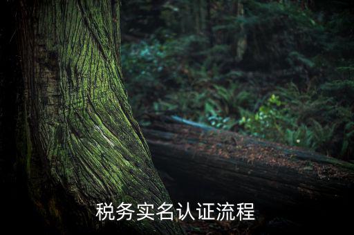 四川省稅務局如何實名采集信息，四川網(wǎng)上稅務局12366掌廳怎么實名采集掃哪個二維碼