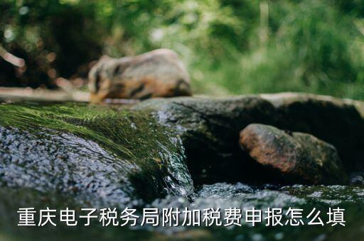 重慶電子稅務(wù)局附加稅費申報怎么填