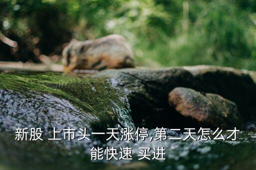 新股 上市頭一天漲停,第二天怎么才能快速 買進(jìn)