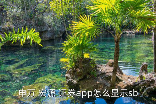 宏源證券怎么了,東方財富bs點(diǎn)顯示為dk線