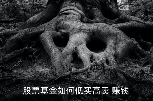 股票基金如何低買(mǎi)高賣(mài) 賺錢(qián)