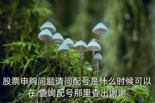 大智慧怎么查詢中簽,新股申購須知多少?