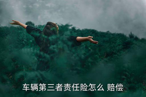 車輛第三者責任險怎么 賠償