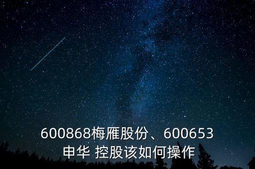 600868梅雁股份、600653 申華 控股該如何操作
