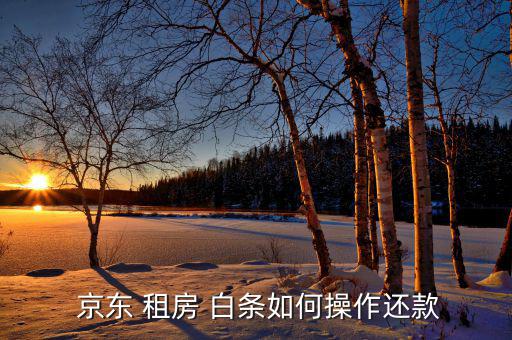 京東租房白條怎么樣,京東開(kāi)通白條服務(wù)已覆蓋多個(gè)熱門領(lǐng)域