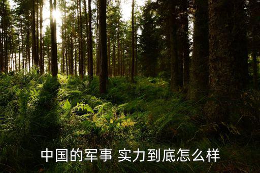 中國(guó)實(shí)力怎么樣,中國(guó)軍事實(shí)力世界第三我覺(jué)得是第三大國(guó)