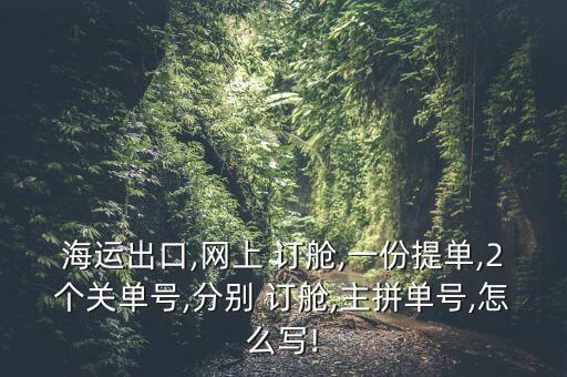 海運出口,網(wǎng)上 訂艙,一份提單,2個關(guān)單號,分別 訂艙,主拼單號,怎么寫!