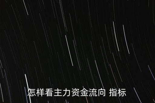 大單金額指標怎么看,主力資金看哪個指標相關知識點