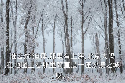 誰(shuí)去過(guò) 迪拜,那里有上海,北京大嗎,在地圖上看那里簡(jiǎn)直是一座沙漠之城呀...