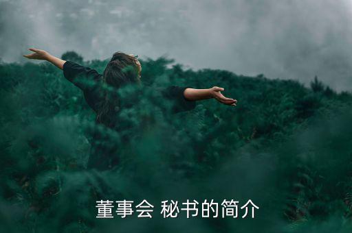  董事會(huì) 秘書的簡(jiǎn)介