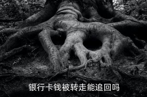 銀行卡上的錢(qián)被轉(zhuǎn)走怎么辦,財(cái)富管理新規(guī)則
