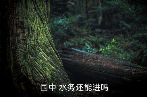  國(guó)中 水務(wù)還能進(jìn)嗎
